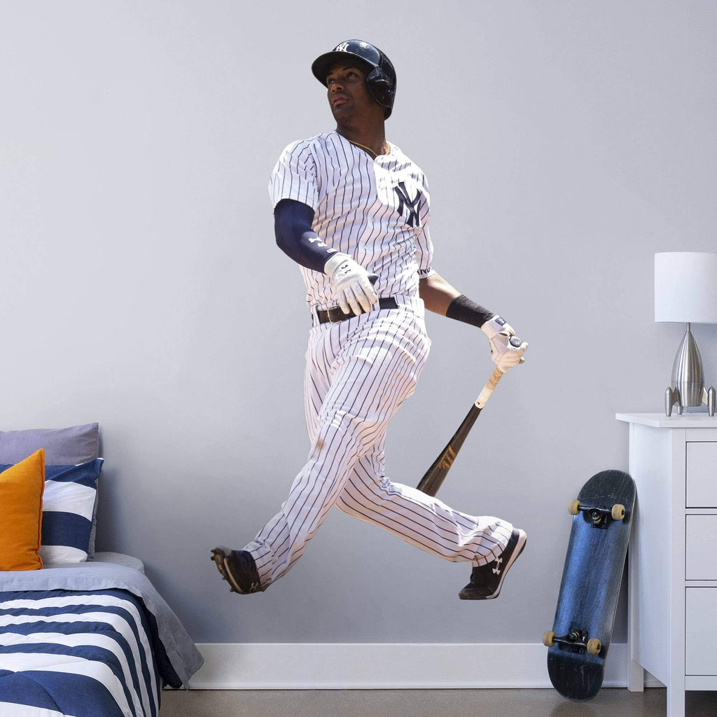 3-Pack Removable Wall Decal Q6562