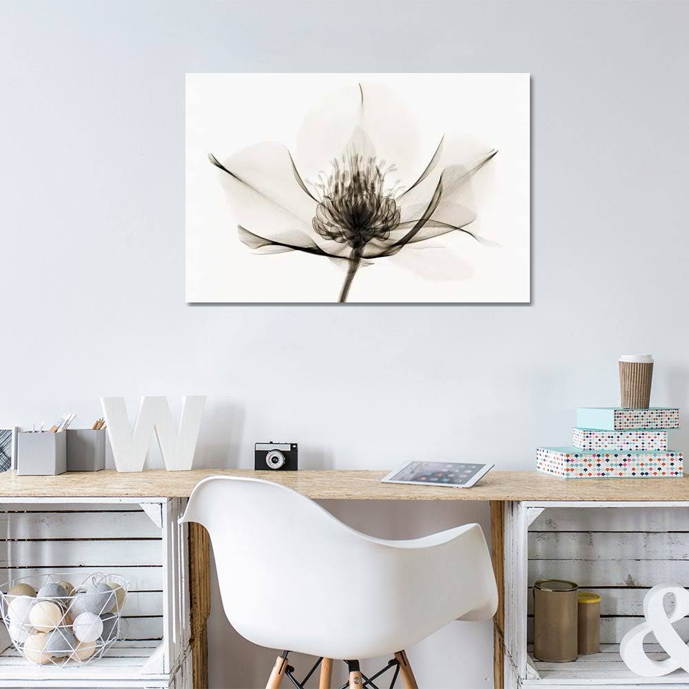 Canvas Wall Decor Prints H132396