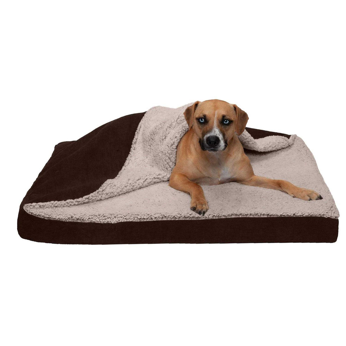 Berber & Suede Blanket Top Dog Bed C3678