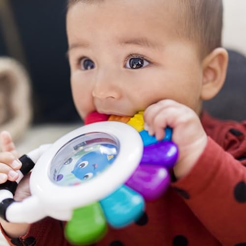 Sensory Rattle & Teether Toy N42318