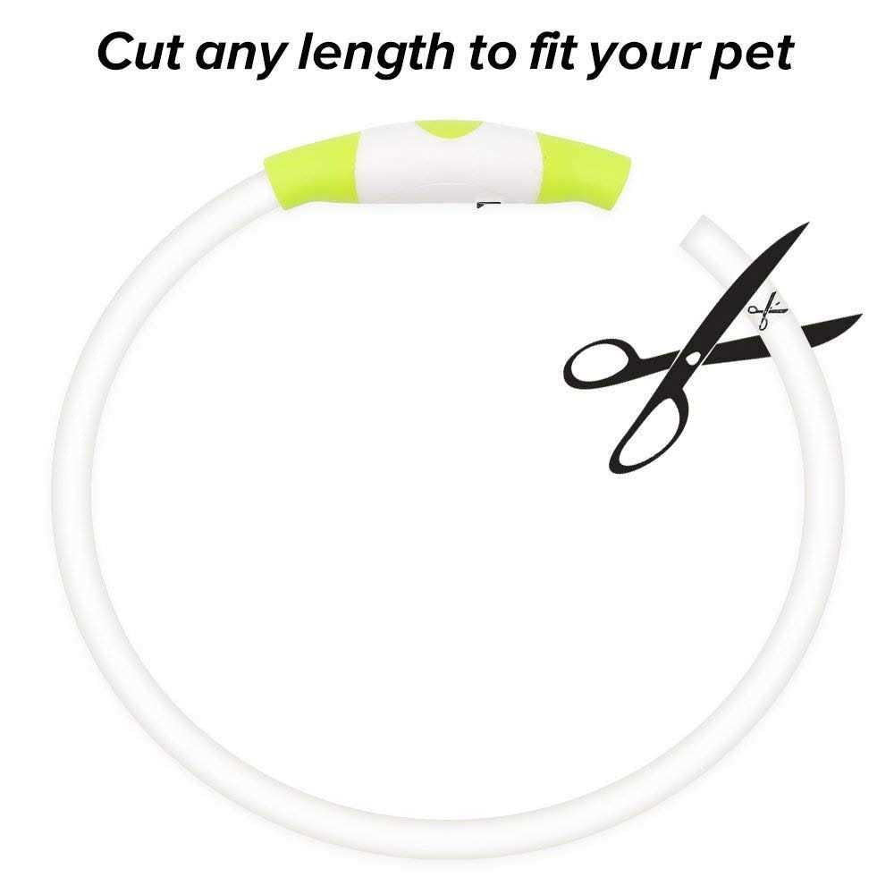 Rechargeable LED Dog Collar R18255