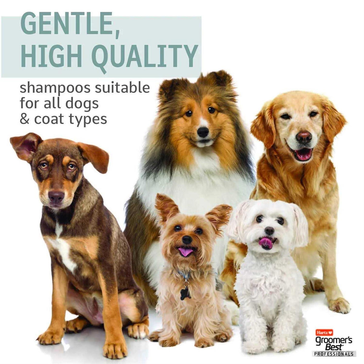 6 in 1 Dog Shampoo D572