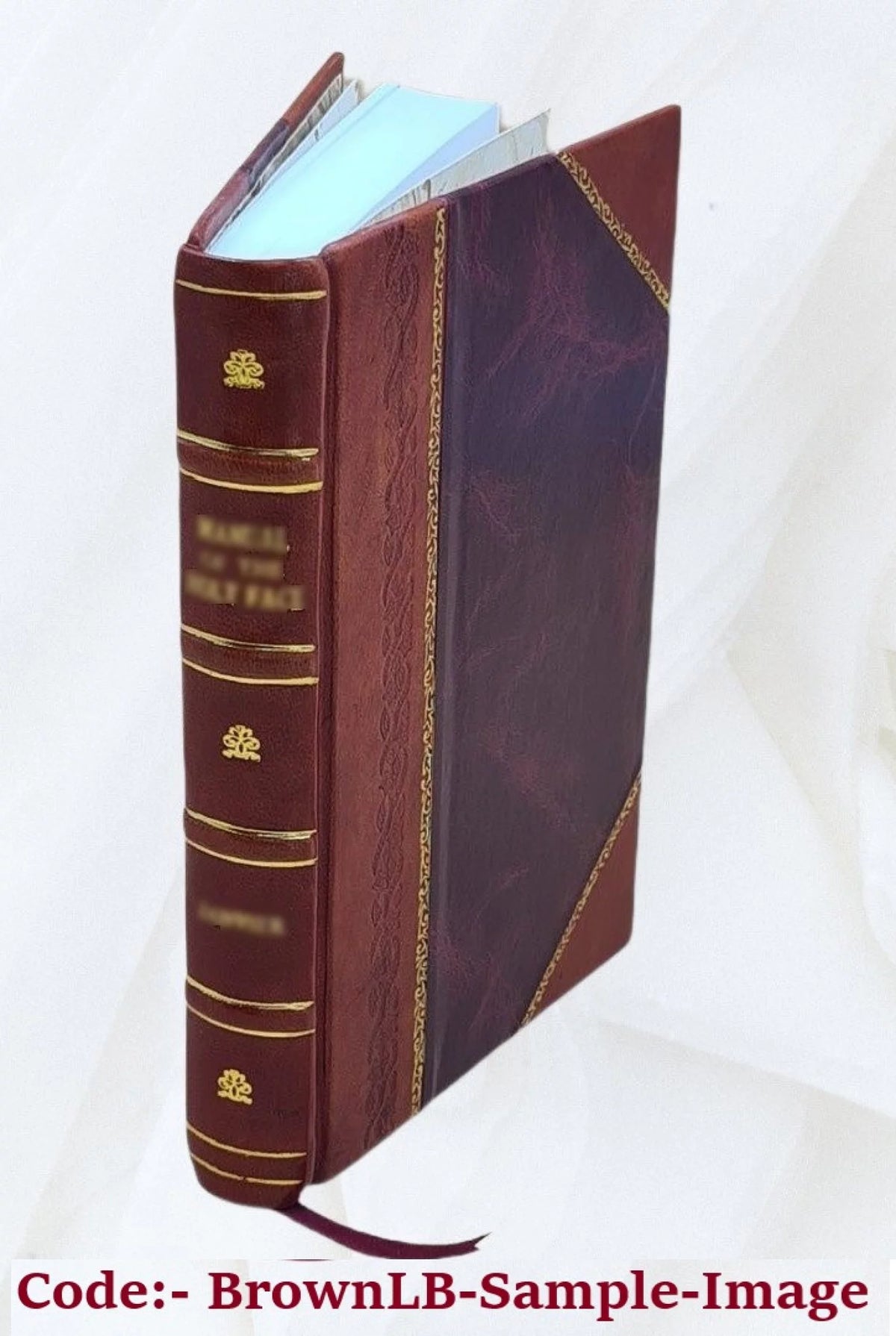 Biography of James A. Garfield Z179