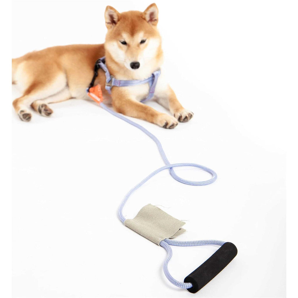 Nylon Dog Harness and Leash Y85812