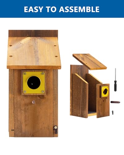 2pk Large Bluebird House with Perch, Mesh Base & Brass Guard G205