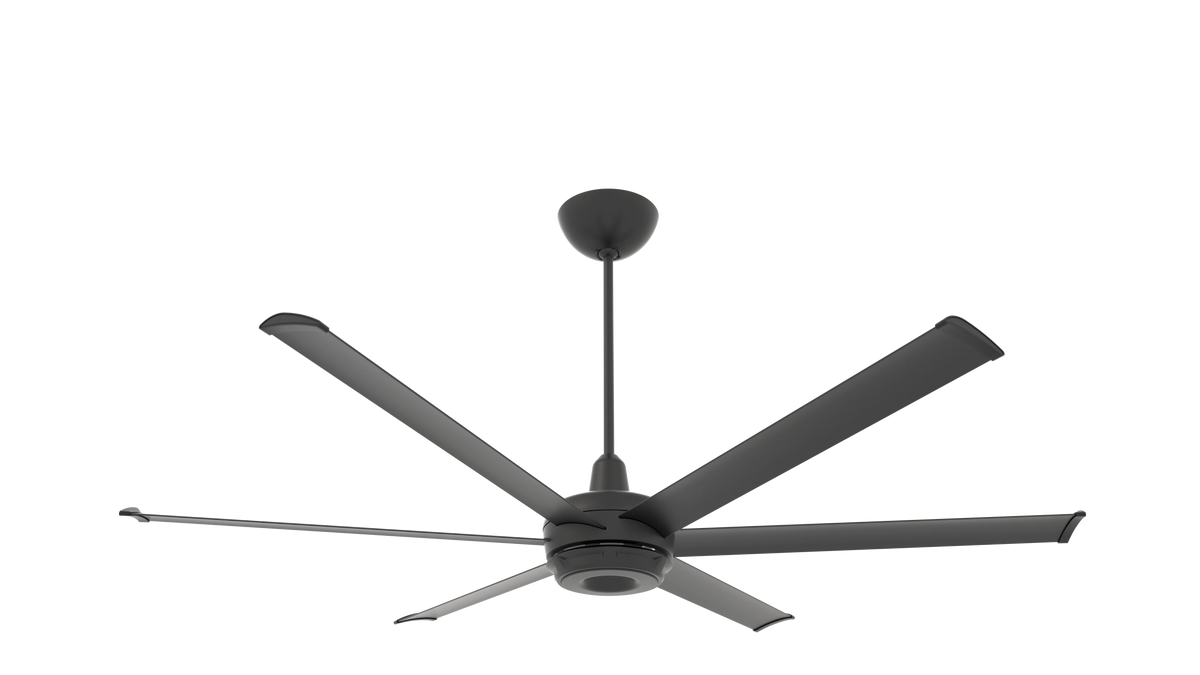 Black Ceiling Fan J916117