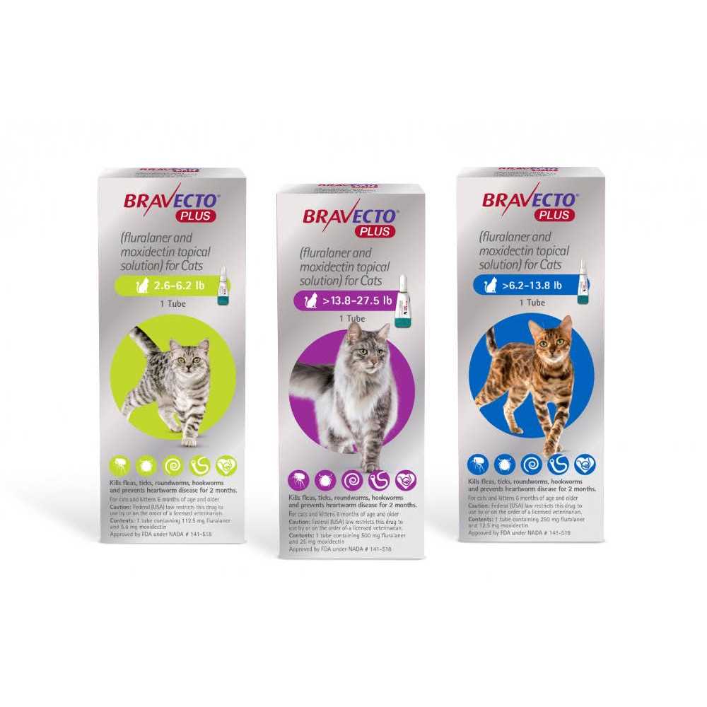 Topical Solution for Cats M833