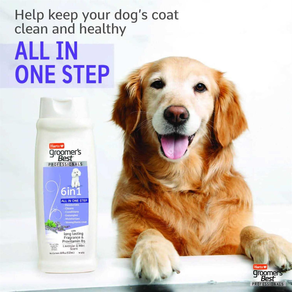 6 in 1 Dog Shampoo D572