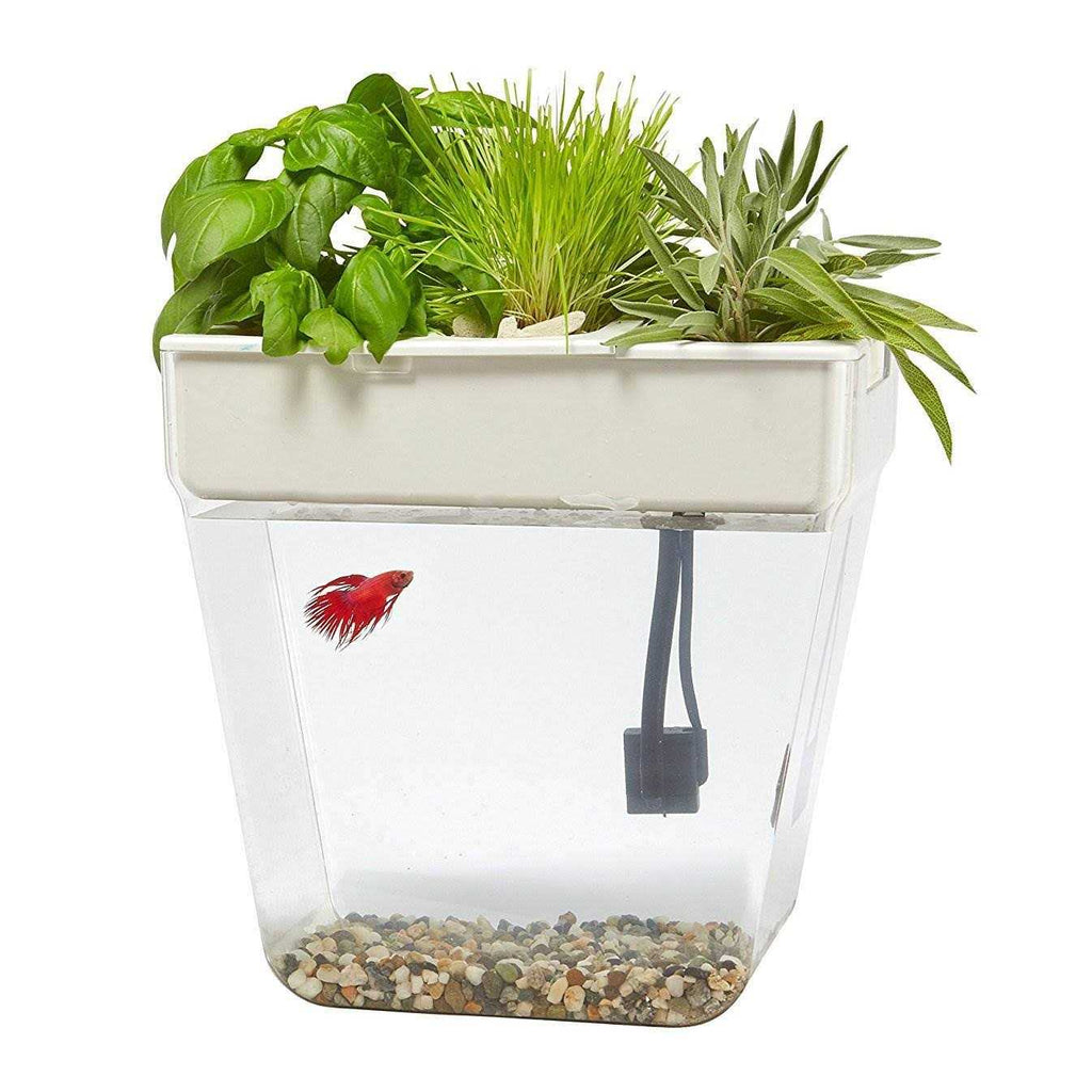 Water Garden K5511