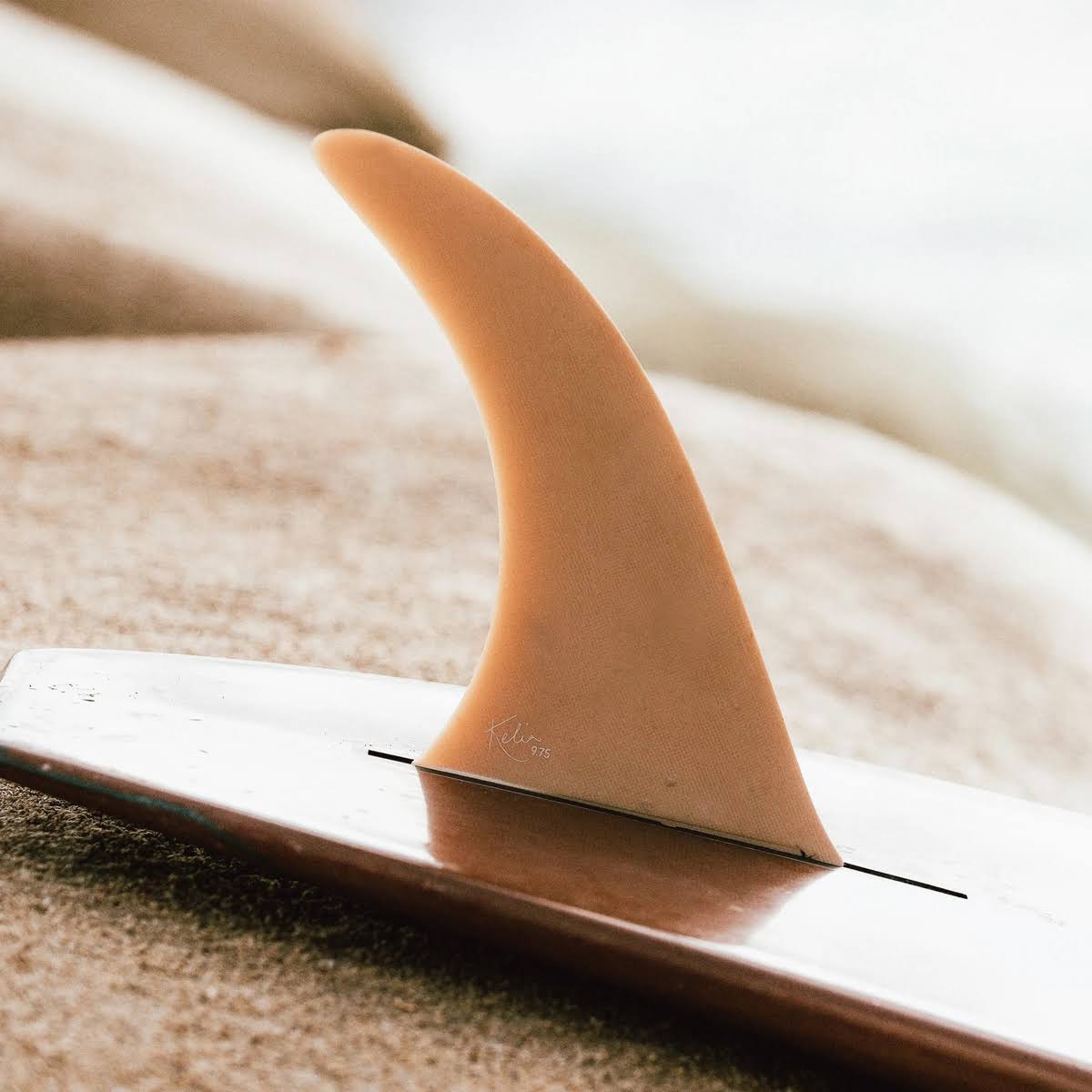Longboard Fin 9.75in G9447