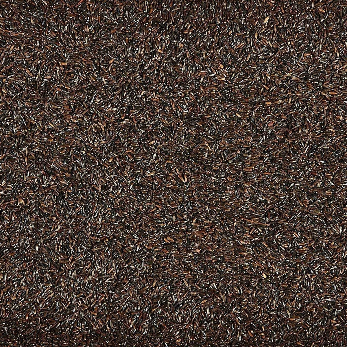 Nyjer Seed Wild Bird Food N3913