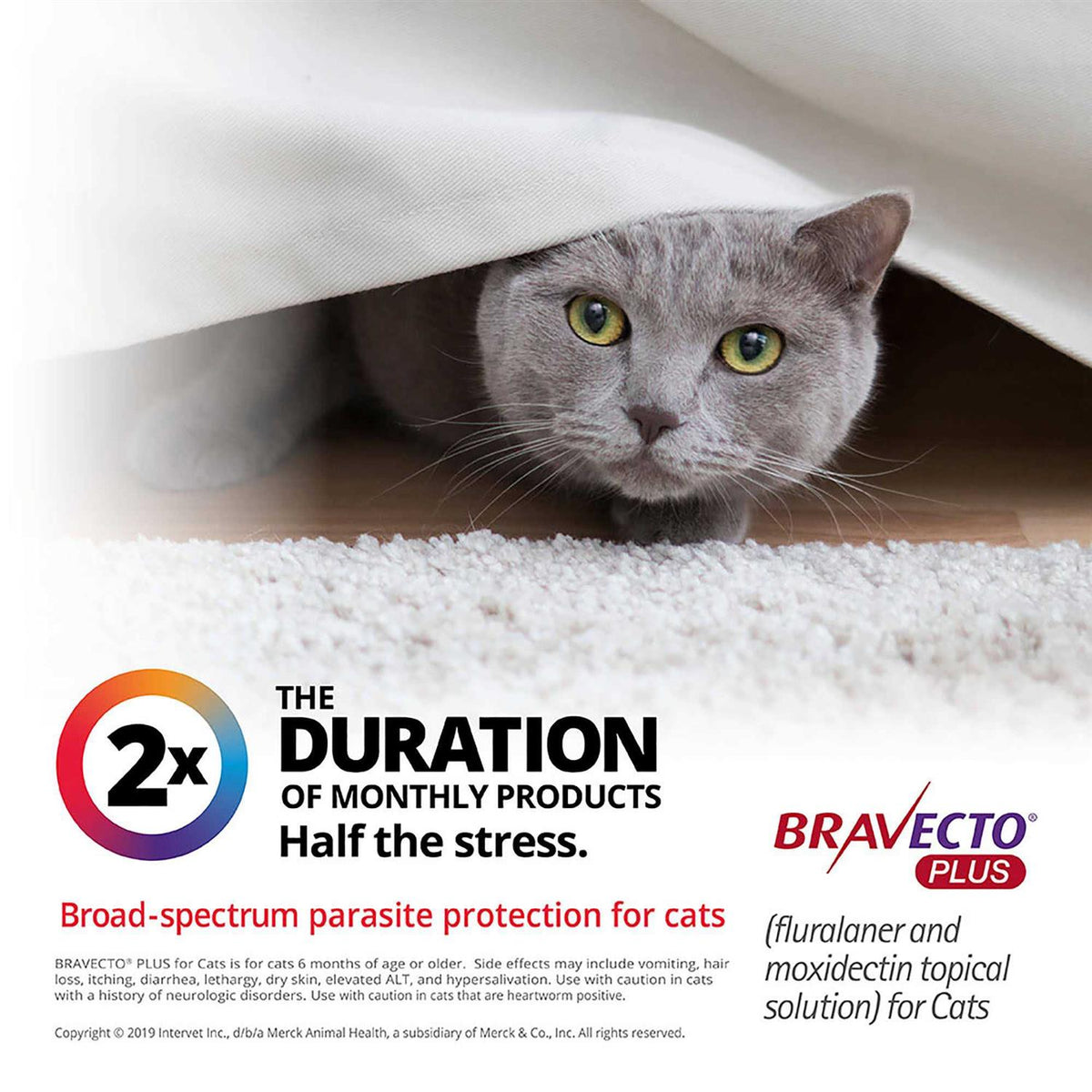Topical Solution for Cats M833