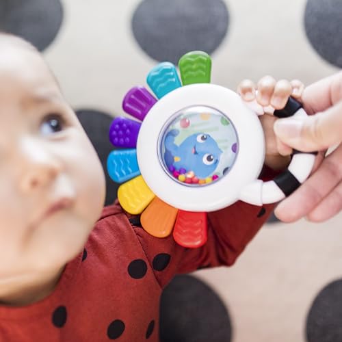 Sensory Rattle & Teether Toy N42318