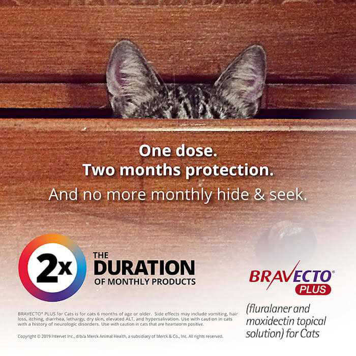 Topical Solution for Cats M833