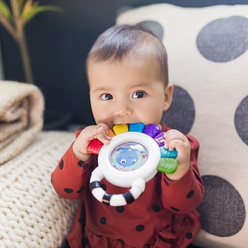 Sensory Rattle & Teether Toy N42318