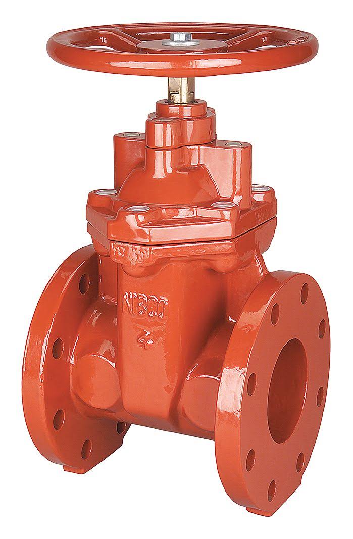 3 in. Flange Gate Valve U43086