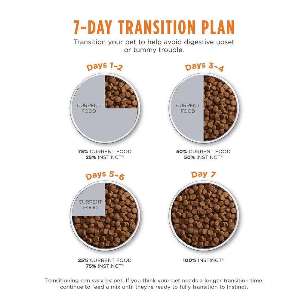 Grain Free Salmon Dry Cat Food C99317