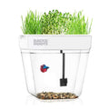 Water Garden K5511