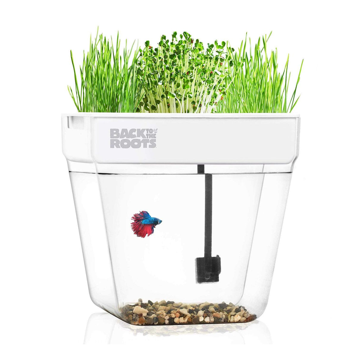 Water Garden K5511