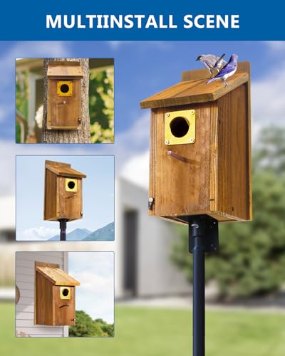 2pk Large Bluebird House with Perch, Mesh Base & Brass Guard G205