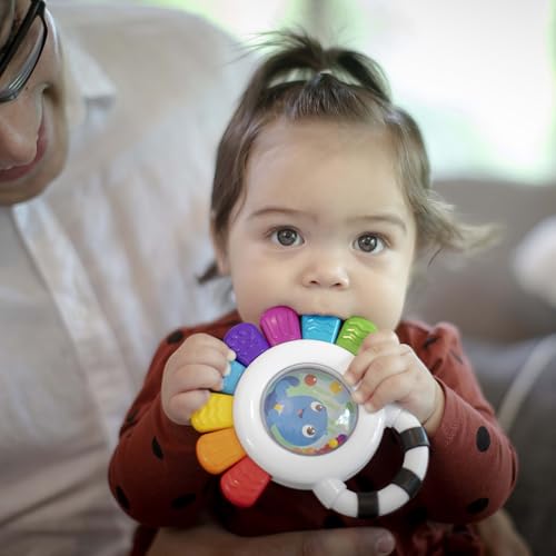 Sensory Rattle & Teether Toy N42318