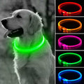 Rechargeable LED Dog Collar R18255