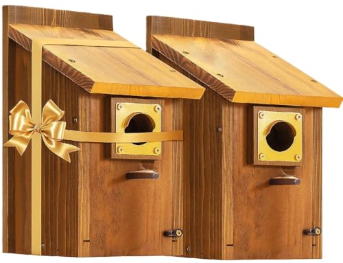 2pk Large Bluebird House with Perch, Mesh Base & Brass Guard G205
