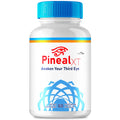 Brain Support Capsules V521