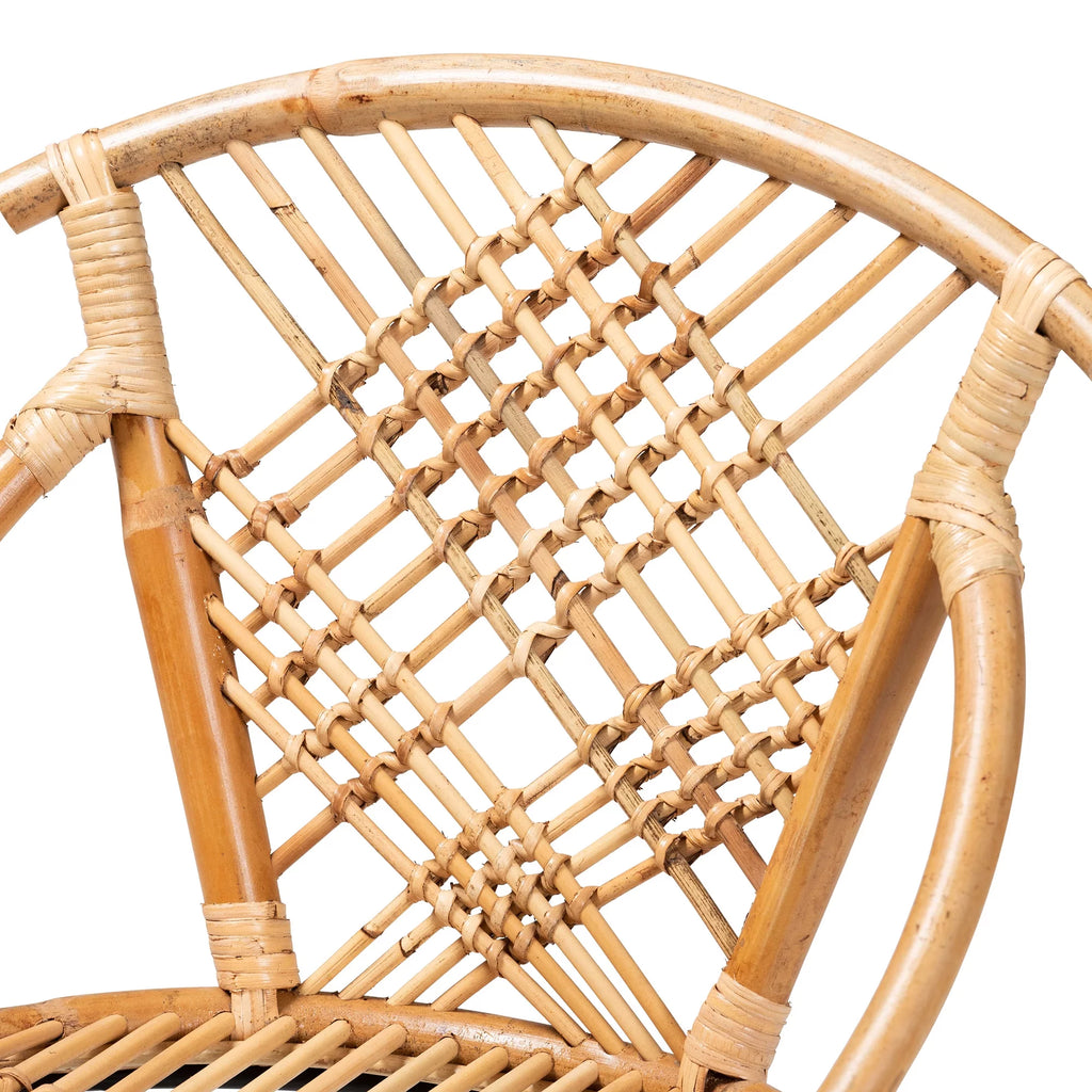 Natural Brown Rattan and Black Metal 2-Piece Dining Chair Set N8420