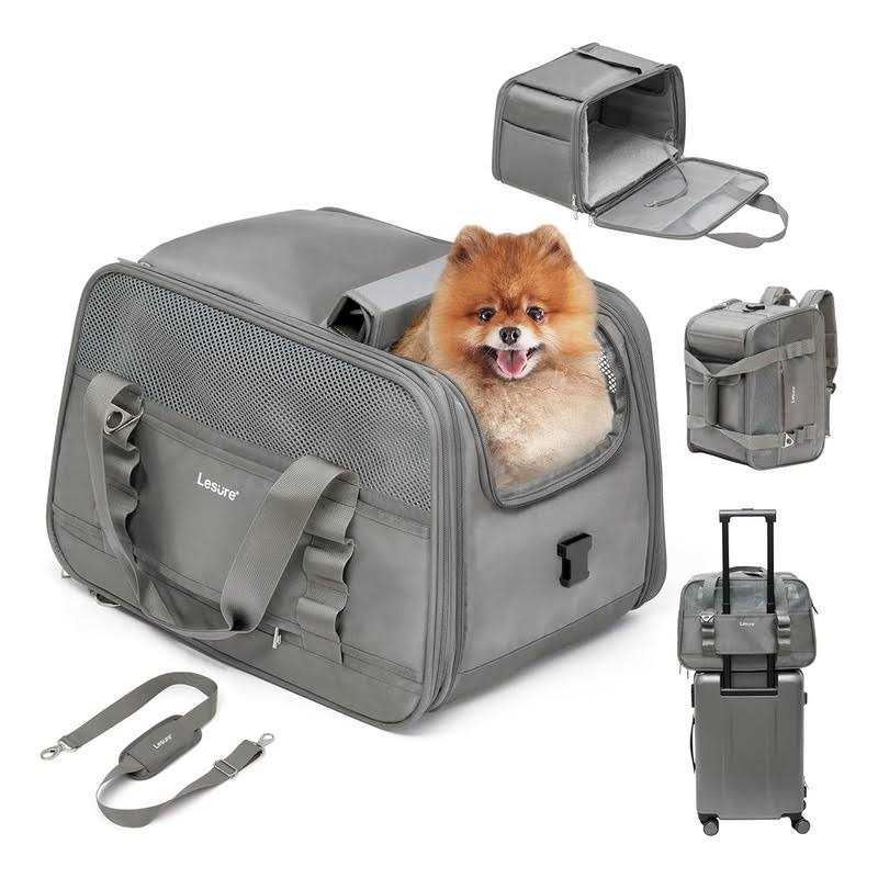 2-in-1 Double Pet Carrier Backpack P216