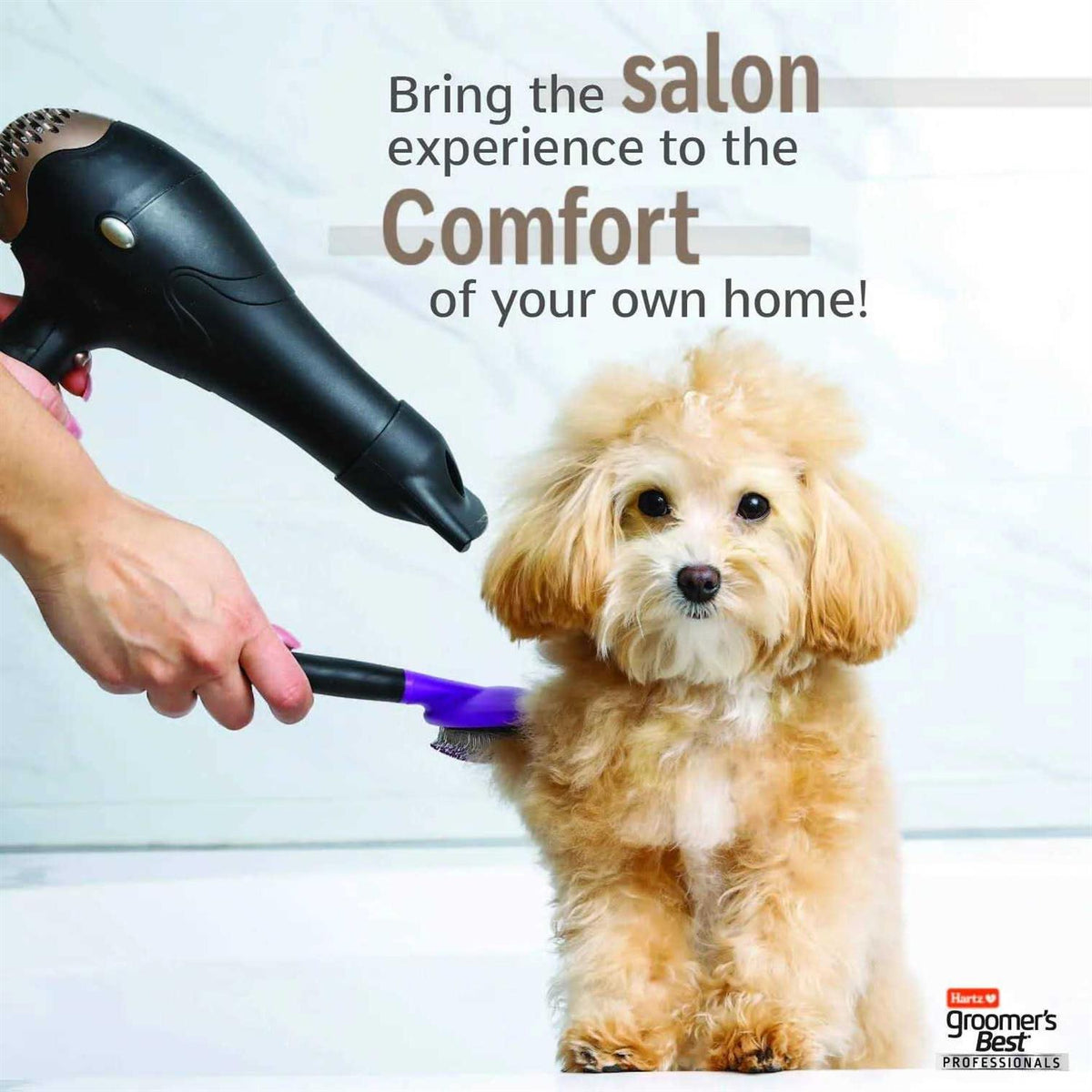 6 in 1 Dog Shampoo D572