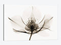 Canvas Wall Decor Prints H132396