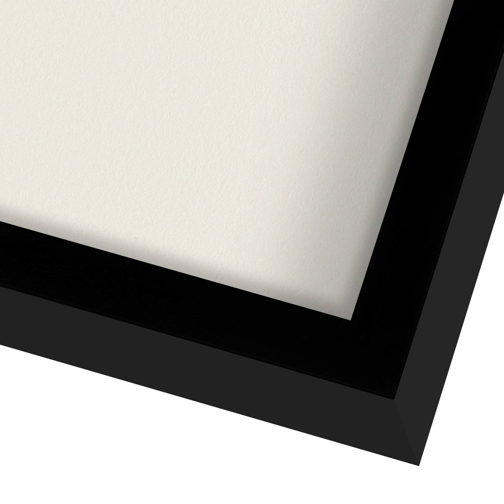 Black 8x22 Shadow Box Frame P98182