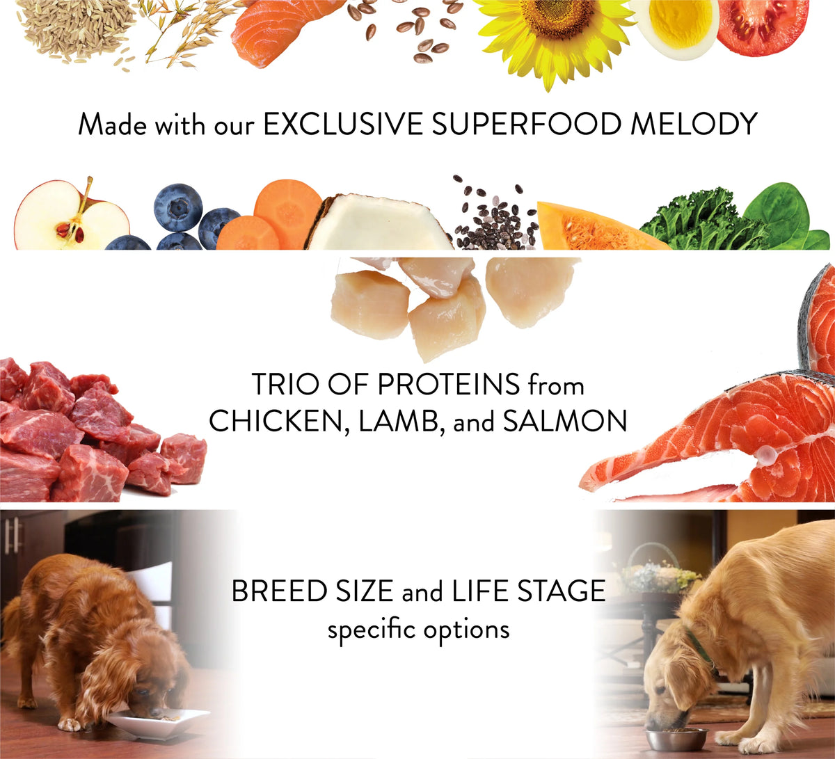 8 Lb. Bag Dry Dog Food Y14052