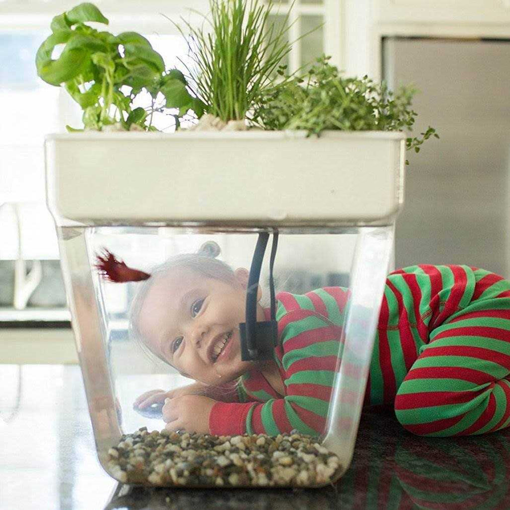 Water Garden K5511