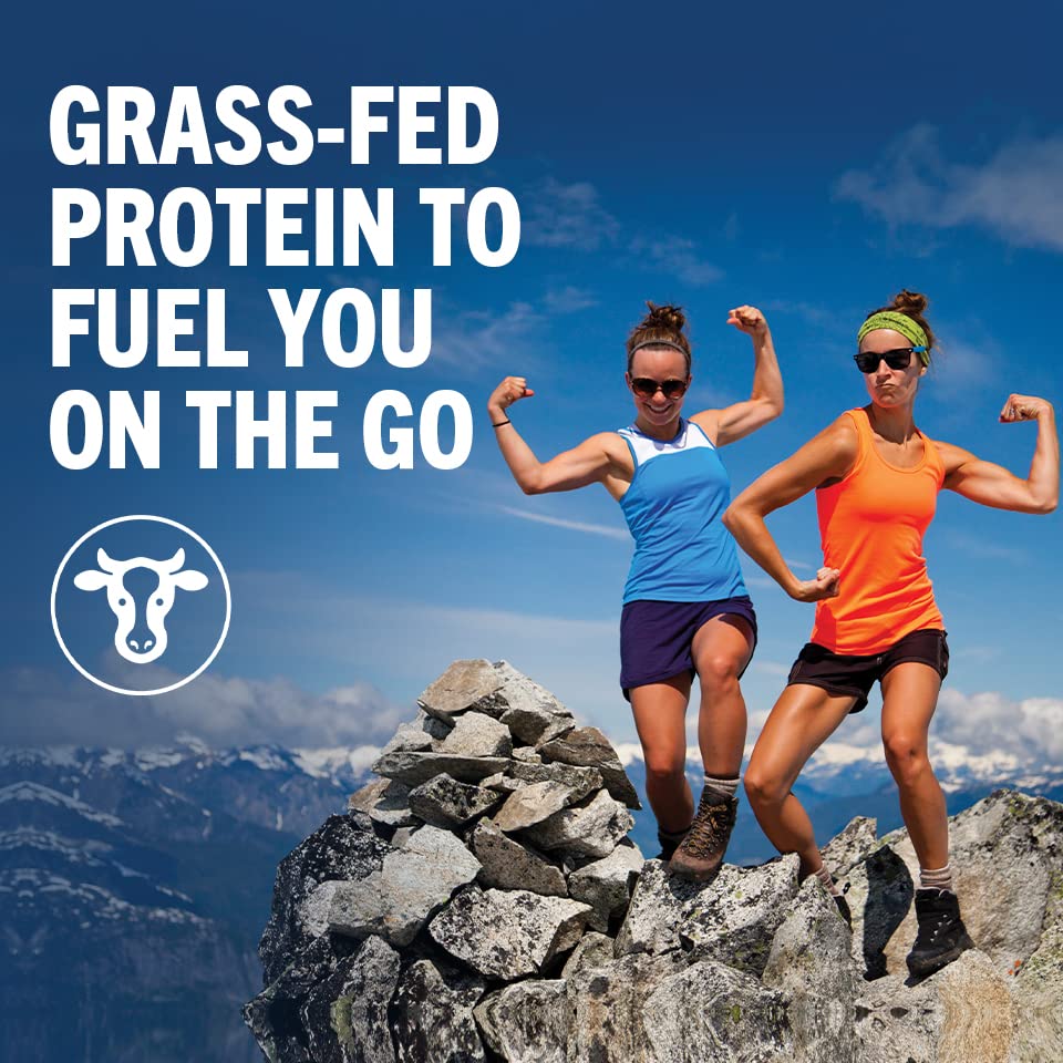 11 Fl Oz Pack of 12 Organic Whey Protein Shake G82205