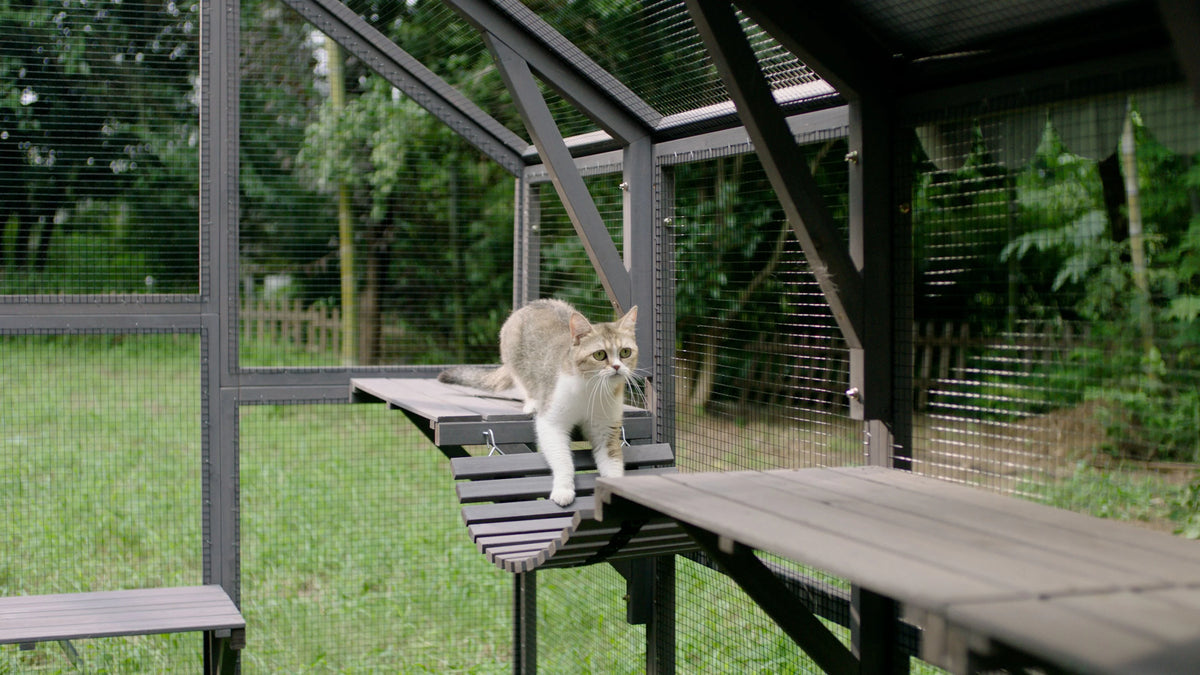 110'' Extra Large Wooden Catio Cage with Roof Cover T303