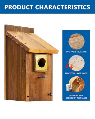 2pk Large Bluebird House with Perch, Mesh Base & Brass Guard G205