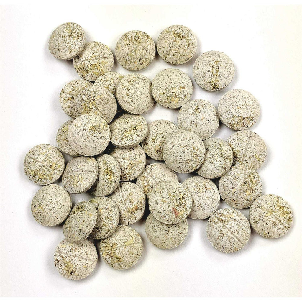 Papaya Support Pet Supplies K654886