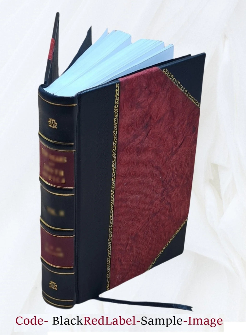 Biography of James A. Garfield Z179