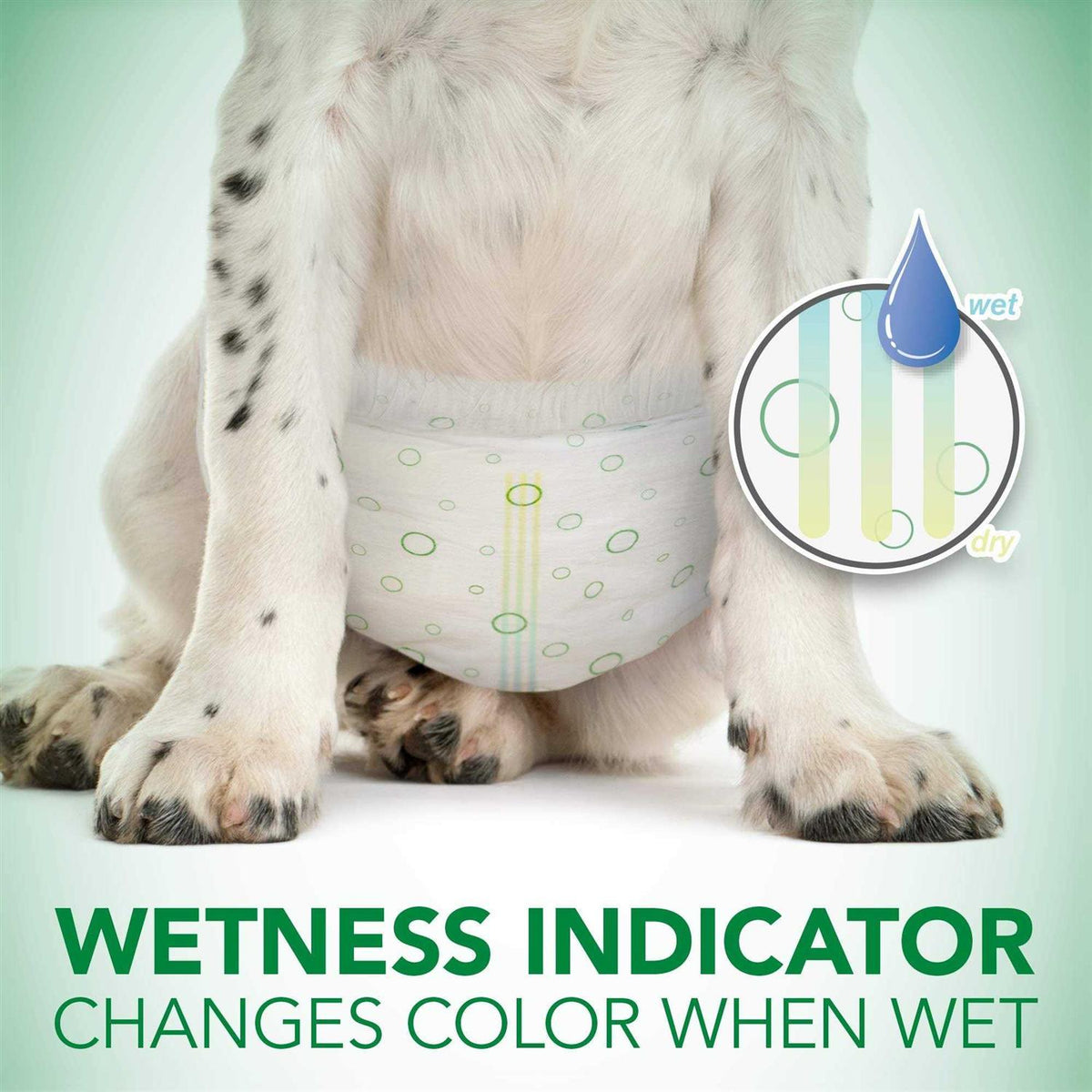 Disposable Female Dog Diapers Z183