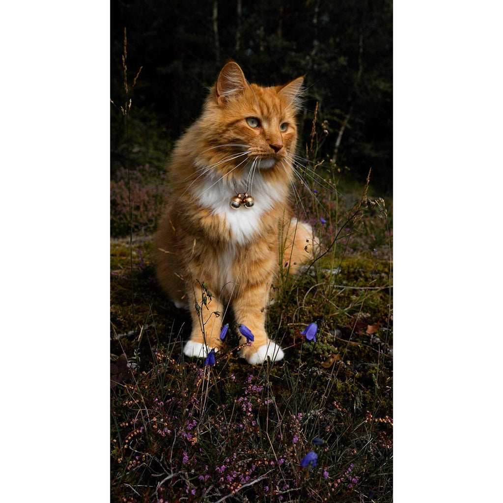 Extra Loud Cat & Dog Bells G856230