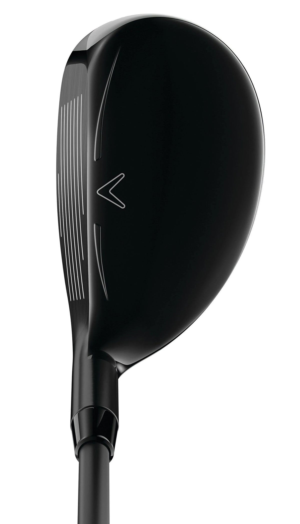 Rogue Hybrid O604