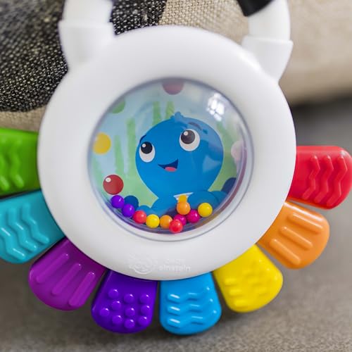 Sensory Rattle & Teether Toy N42318