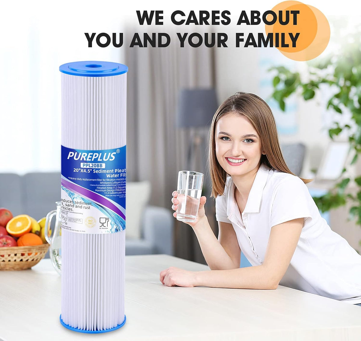 20 x 4.5 Pleated Sediment Filter Replacement Cartridge, 2 Pack D22734