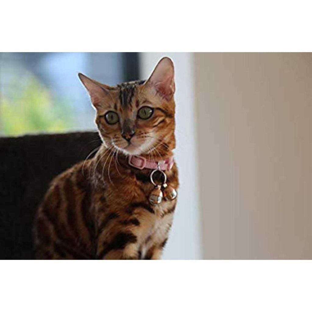 Extra Loud Cat & Dog Bells G856230