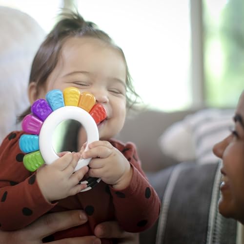 Sensory Rattle & Teether Toy N42318