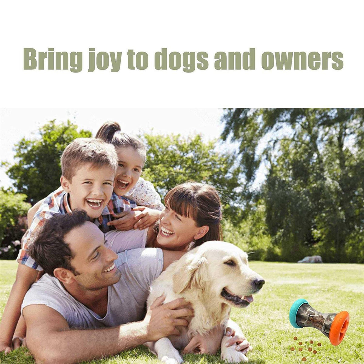Treat Dispensing Puzzle Toys for Small Dogs E7698