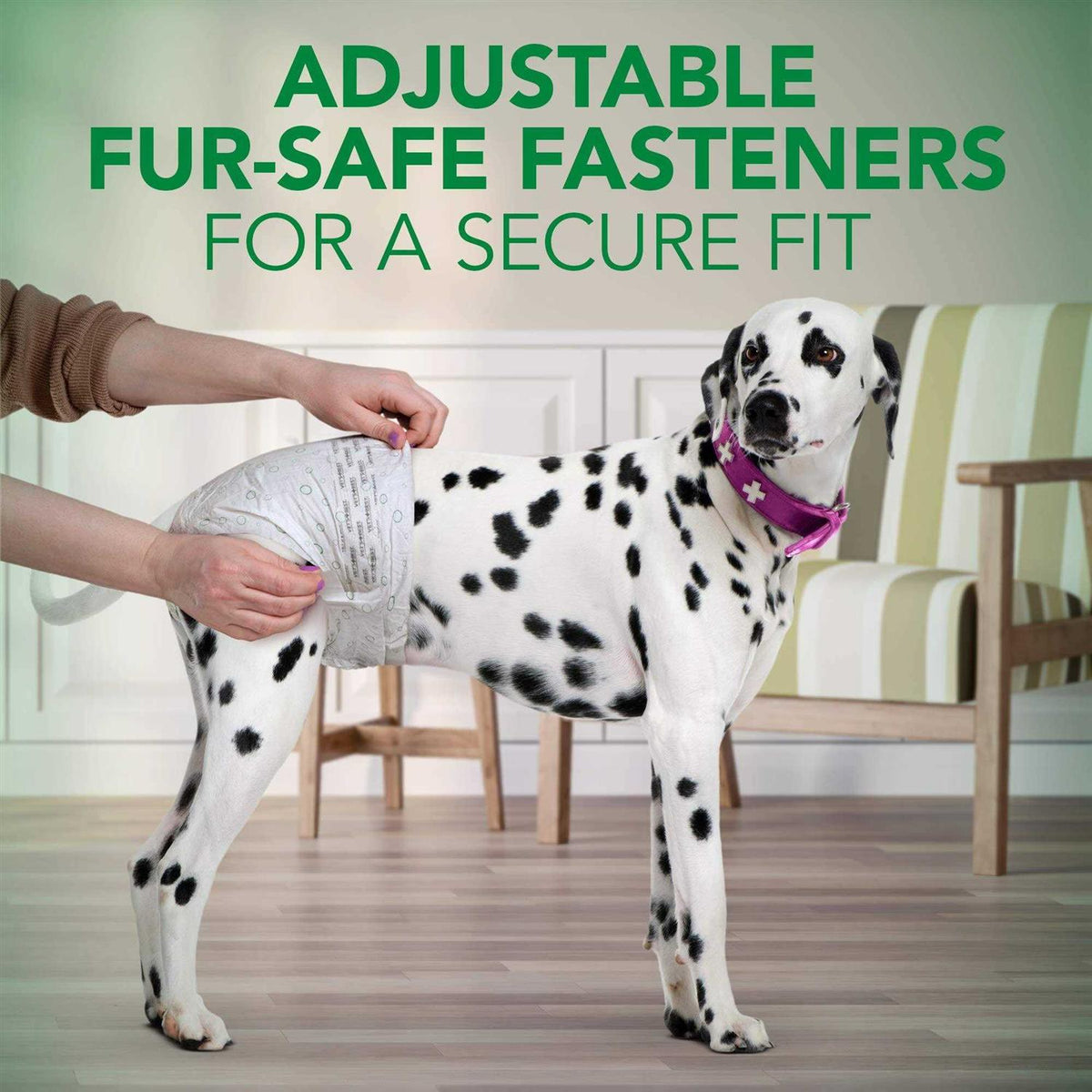 Disposable Female Dog Diapers Z183