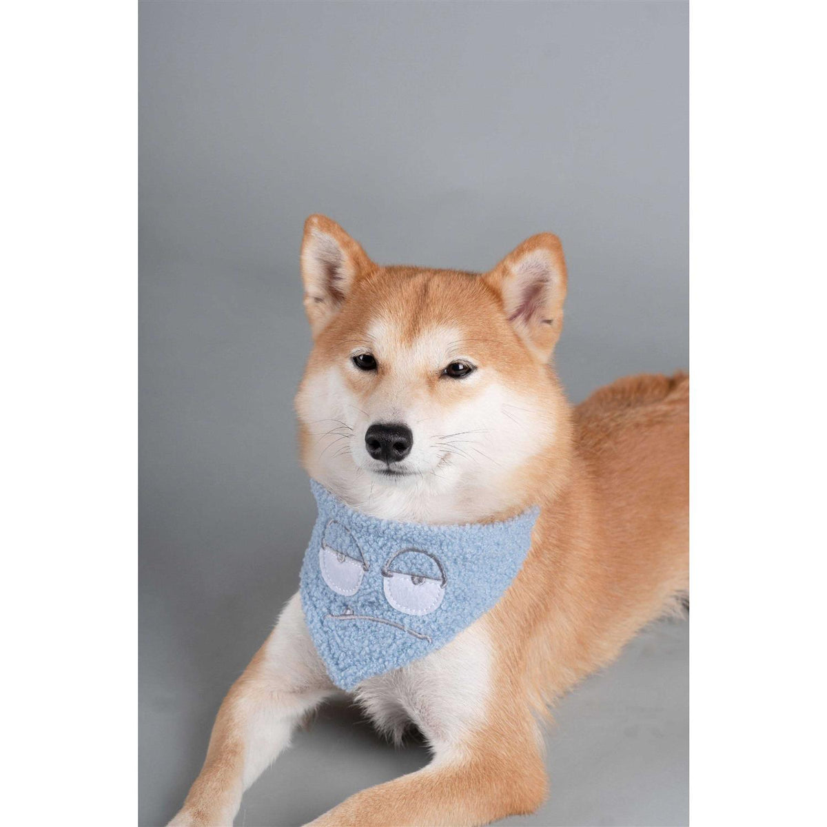 Nylon Dog Harness and Leash Y85812